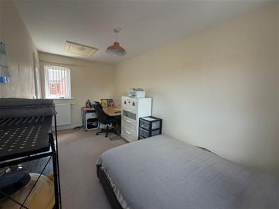 Picture 13